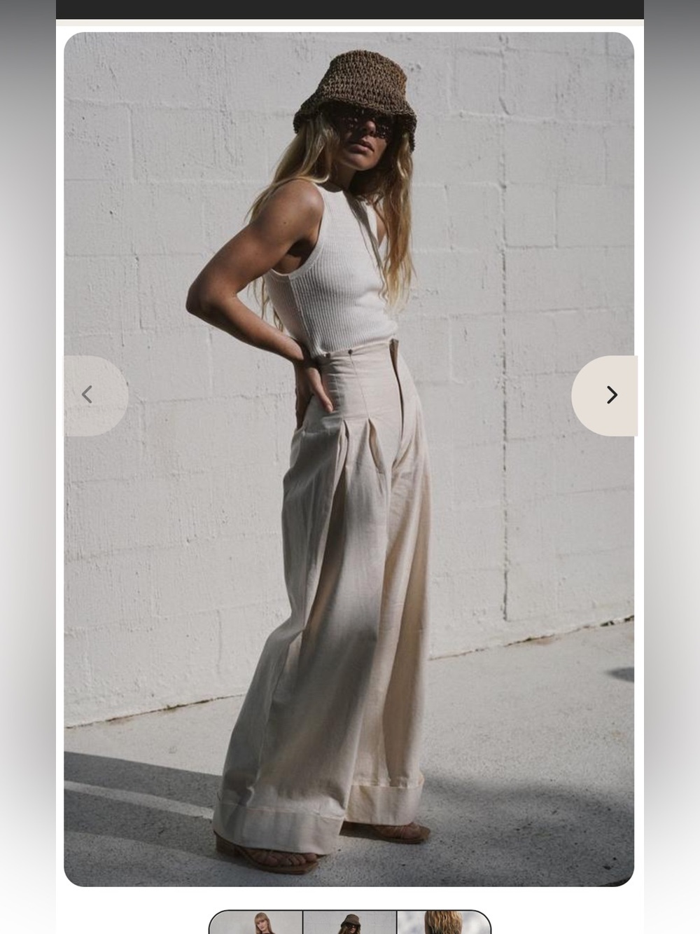St. Agni Cream Linen Wide Leg Pleated Pants M - Picture 2 of 10